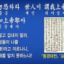 대신사