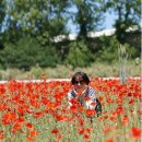 태진목장 이미지