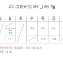 코스모스아트랩 이미지