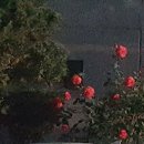 수원-0602 이미지