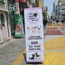 고양이네 생선가게 | 수원역 놀곳《고양이네 생선가게》/솔직후기