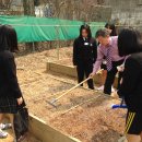 부일농장 이미지