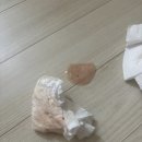 비전동물병원 | 평택 비전동물병원 🐾 강아지 혈토로 급하게 방문한 후기 | 믿음 갔던 진료 과정