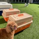 놀러오개 서대문점 이미지