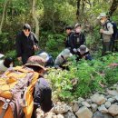 옥빛공원 이미지