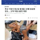 &#39;부산 권총 강도 2분만에 제압&#39; 베스트 댓글 이미지