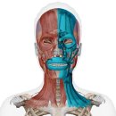 아이엠(IM)메디칼 이미지