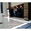 비즈트위트 레인보우 이미지