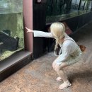 내츄럴원더스 이미지