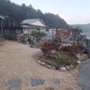 들꽃피는 아침풍경 이미지