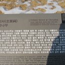 의령 충익사 모과나무 이미지