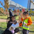부엉이숲 이미지