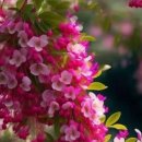 청맥다방 이미지