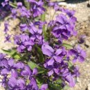 스피트메이트장호원점 이미지