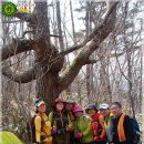 목통산장 이미지