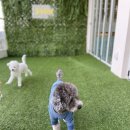 시흥유치원 이미지