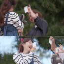 무해