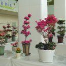 조이플라자 이미지