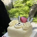 하이퍼피 이미지