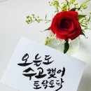 캘리공장