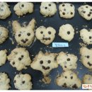 기암유치원 이미지