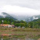 동호천 Daum카페