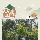 윤 민박 이미지