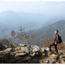 강천농장 이미지