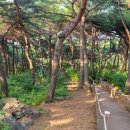 숲속 이미지