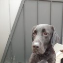 봉구세차장 이미지