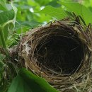 둥지농원 이미지