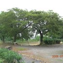 영명농장 이미지