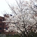 황구지천 자전거길(하천) 이미지