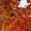 안녕아가 이미지