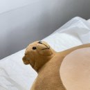 슬왁싱 | 노원역 왁싱샵 이니샵 저통증왁싱 브라질리언 추천 후기