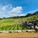 지에스발안IC주유소 이미지