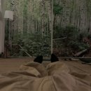 청풍힐링스테이 이미지