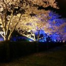 단원고등학교 이미지