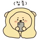 린리듬체조
