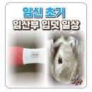 레몬산부인과의원 | 임신 초기 증상 임산부 일상 지옥의 입덧 시작