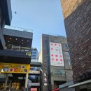 토마토PC | 뮤지엄김치간 <어린이 김치학교> 토마토배추김치 후기 / 예약 팁 / 인근 맛집 빵집 코스 추천