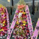스시근성 이미지