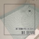 랄랄라더예쁜협재펜션 | 제주 독채 펜션 협재해수욕장 제주청년살이 시리시리 자쿠지 감성숙소 데이트코스