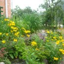 물안개민박 이미지