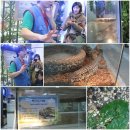 6호선 신당역 이미지