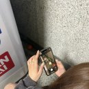 수미수작