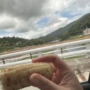 (주)동운조선해양 | 거제 수국 보러~ 저구 수국동산, 조선해양문화관