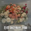 댕댕이 보호구역 | 진주 초전동 카페 넓은 테라스와 실내 애견동반 가능한 힐브리즈