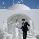 드 림 로 | W2. 스튜디오 계약 후기 헤리움연계 '세미앙' / 제주스냅 '해와림'