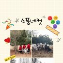 즐거운 애견 티스토리